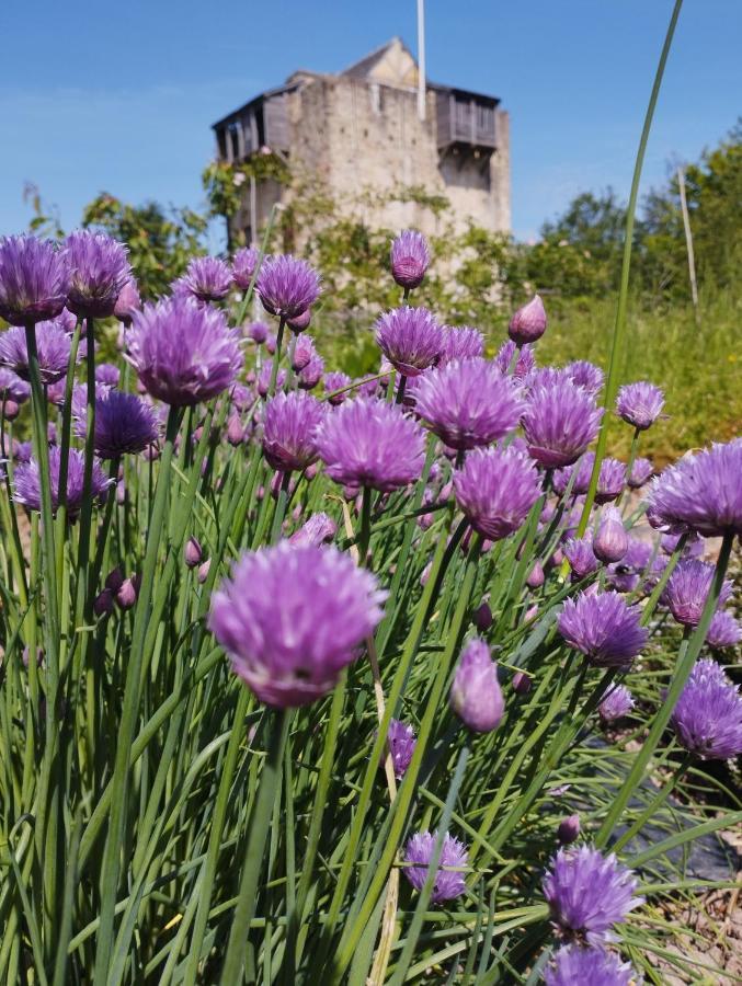 Готель Domaine De La Ferte Clairbois Sainte-Suzanne  Екстер'єр фото