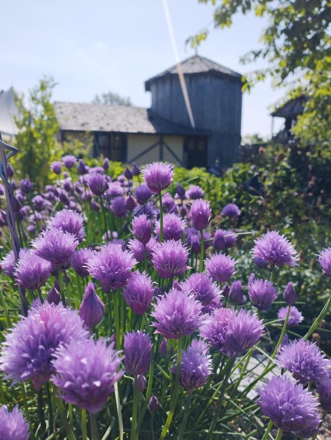 Готель Domaine De La Ferte Clairbois Sainte-Suzanne  Екстер'єр фото